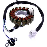 Stator 101 Octane for: Yamaha YP, XN, XQ, MBK YP, XN, XQ