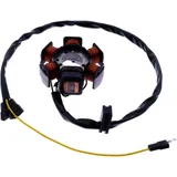 Stator 101 Octane for: Rieju MRT, Spike, RR, Motorhispania RYZ, Furia, RX