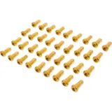 Spoke nipple kit rear