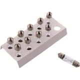 BULB 6V3W SV7-8 JMP