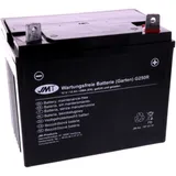 Battery for Garden Mower G250R
