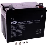 Garten Batterie G320R wet JMT