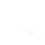 Polisport Schutzblech hinten weiß