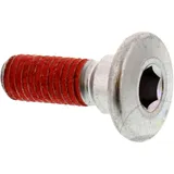 Brake disc bolt M8X1. 25X25mm for: Kawasaki Ninja, BN, EL