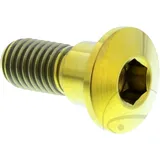 Brake disc screw JMP bolt M8X1. 25mm 22mm titan gold for: Suzuki AN, LT - A, UH