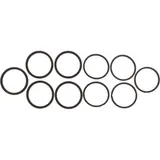 Seal Kit Caliper Piston CPS102