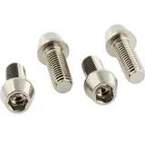 Screw for brake caliper JMP SSFBMON370
