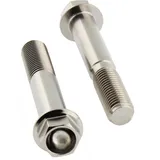 Screw for brake caliper JMP TIFBMON560