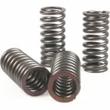 Ventilsprings Set