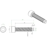 Bolt 60mm