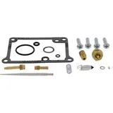 Vergaser Reparatursatz All Balls Racing 261108