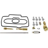 Carburettor repair kit all balls racing 261184