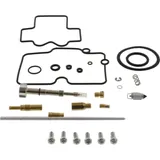 Carburettor repair kit all balls racing 261266