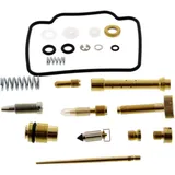 CARBURETTOR REPAIR KIT TOURMAX Full Set
