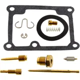 CARBURETTOR REPAIR KIT KEYSTER for common models