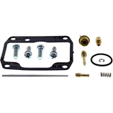 Vergaser Reparatursatz All Balls Racing Komplettset 7243345