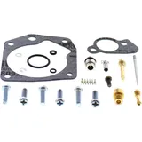Vergaser Reparatursatz All Balls Racing Vollsatz passend für: Polaris Predator