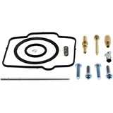 Vergaser Reparatursatz Vollsatz für Motorräder 7243457
