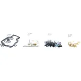 Carburettor repair kit all balls racing 261763