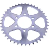 Kettenrad 41Z 525 Teilung