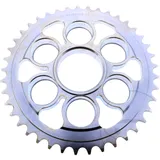 Kettenrad 41Z Teilung 520 Innendurchmesser 091 Lochkreis 110