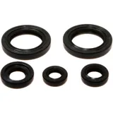 Engine oil seal kit for: KTM Duke