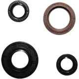 Wellendichtring Satz Athena passend für: Derbi Senda, GPR, Mulhacen, Aprilia RS4