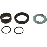 Counter shaft seal kit 254021