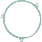 Alternator cover Seal S410485017035