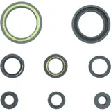 Engine oil seal kit P400210400202