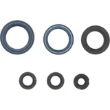 Engine oil seal kit P400270400014