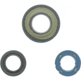 Engine oil seal kit P400480400280
