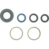 Engine oil seal kit P400485400015