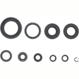 Engine oil seal kit P400485400267