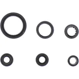 OIL SEAL KIT for Motorcycles