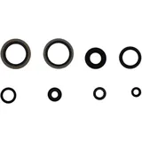 OIL SEAL KIT for Motorcycles 7342057