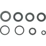 Engine oil seal kit P400550400004