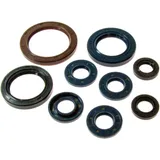 Oil Seal Kit for Motorcycles 7342064