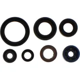 Engine oil seal kit P400485400187