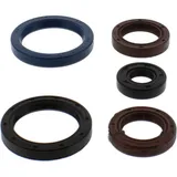 Engine oil seal kit P400480400035