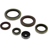 Shaft seal Set P400060400011