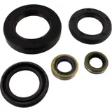 Shaft seal Set OSL424R