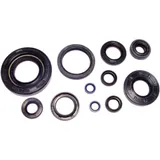 Engine oil seal kit for: Fantic XX