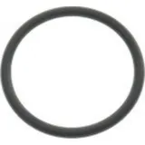 Cylinder head o ring