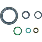 Shaft seal set athena P400110400910 Shaft seal set athena P400110400910