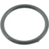 O-ring (orig spare part) 920550732