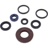 Shaft seal set athena P400210400211