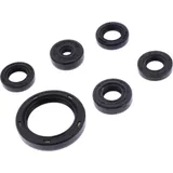Shaft seal set athena P400250400068