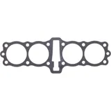 Cylinder base gasket (orig spare part) 110601898