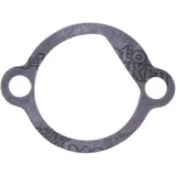 Dichtung für Steuerkettenspanner Athena 7344841